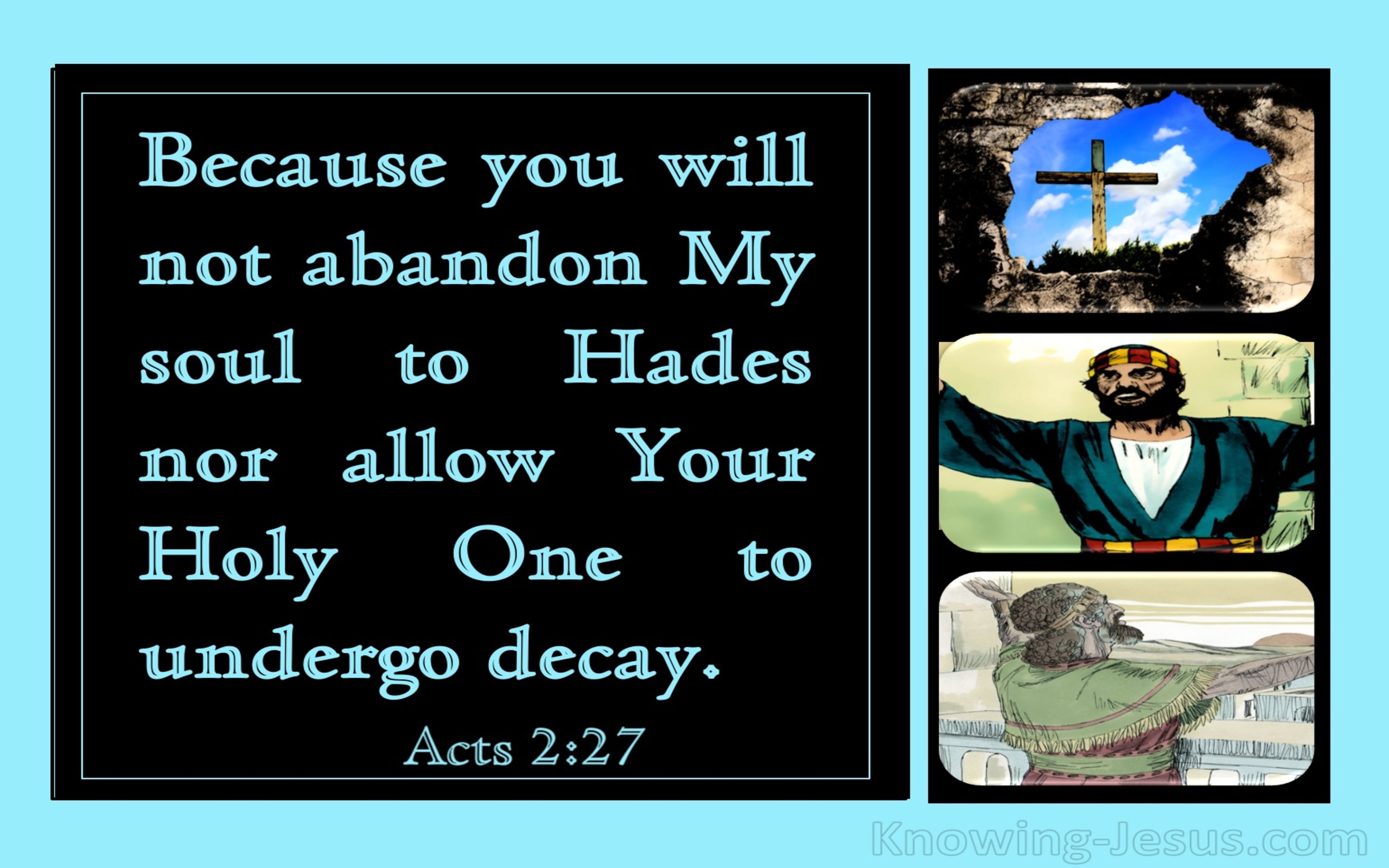 Acts 2:27 You Will Not Abandon My Soul To Hades (aqua)